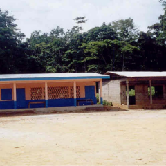 Aufbau einer Schule in Kamerun