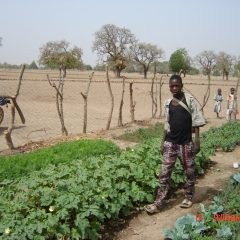Das Ernährungsprojekt in Burkina Faso